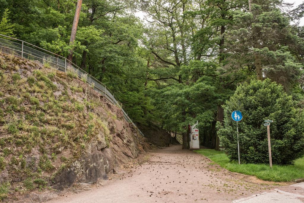 Loftwohnung Mit Sauna - Natur Und Kultur In Eisenach Erleben Und Geniessen Dış mekan fotoğraf